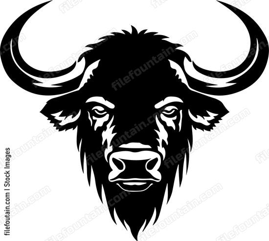 Buffalo Head