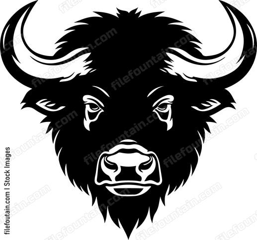 Buffalo Head