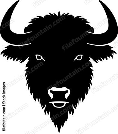 Buffalo Head