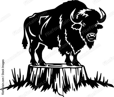Buffalo On A Stump