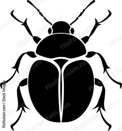 Bug