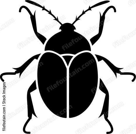 Bug