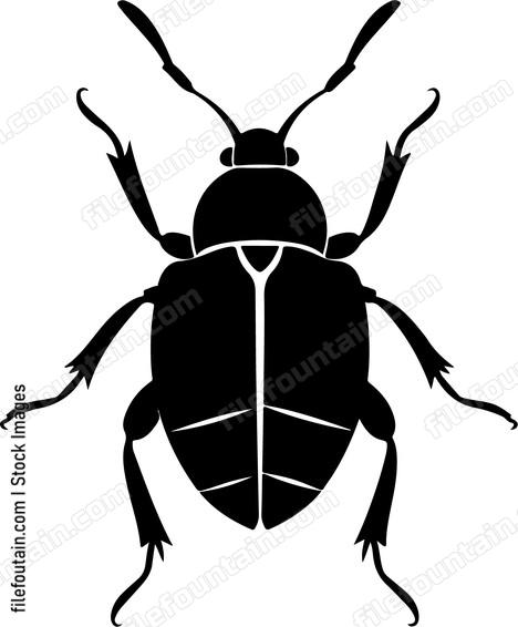 Bug