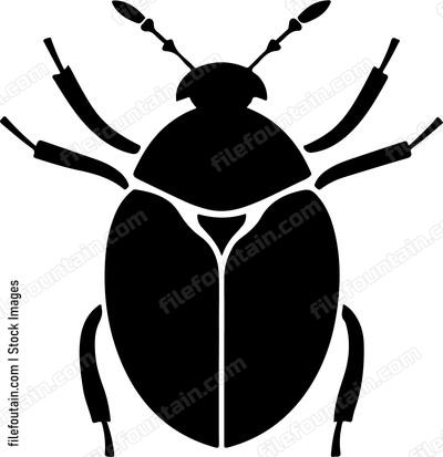 Bug