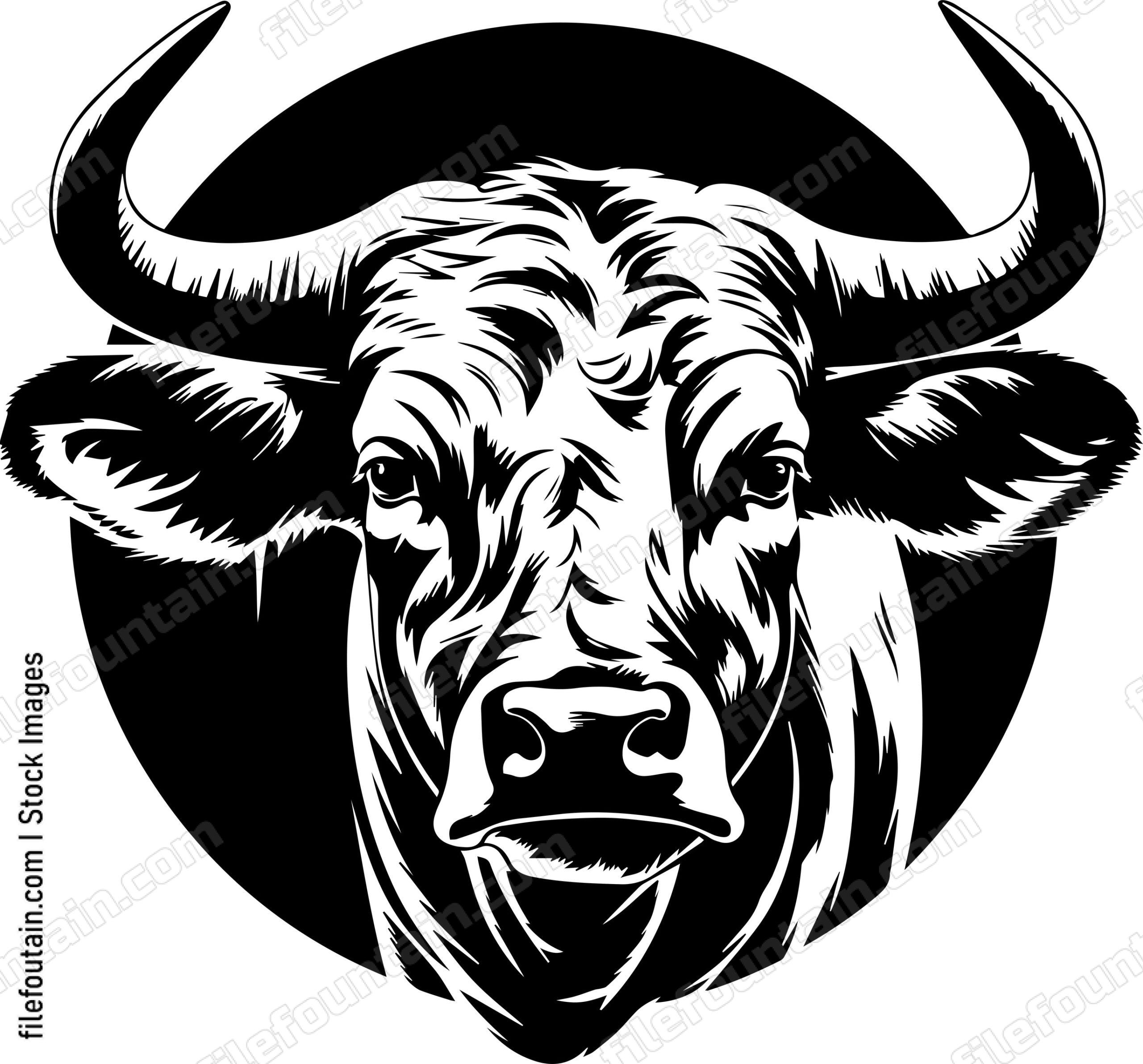 Bull