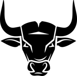 Bull
