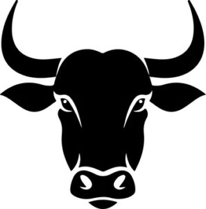 Bull
