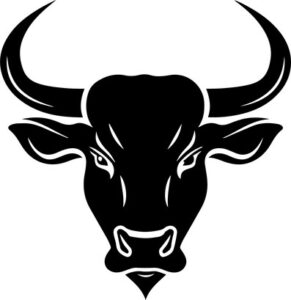Bull