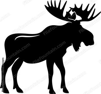 Bull Moose