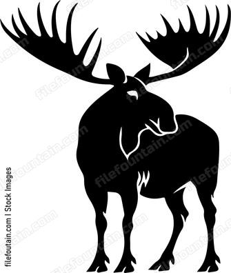 Bull Moose