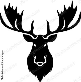 Bull Moose