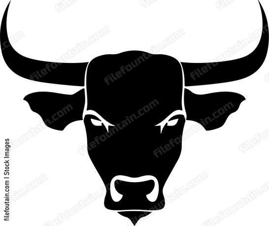 Bull Muzzle