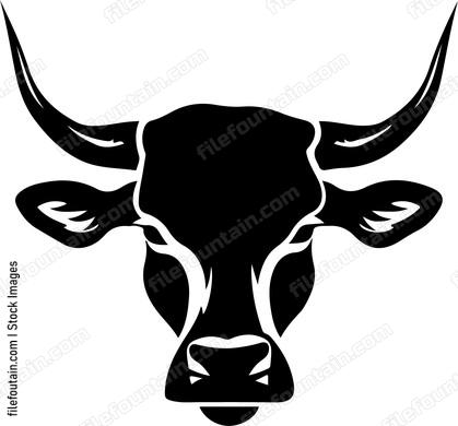 Bull Muzzle