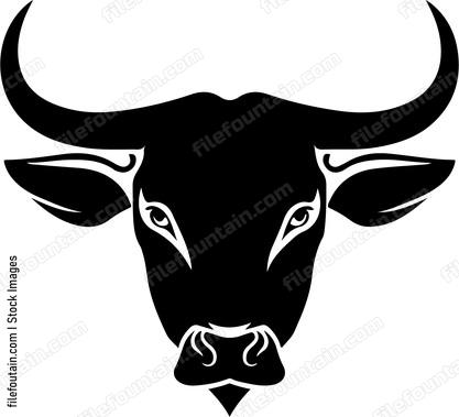 Bull Muzzle