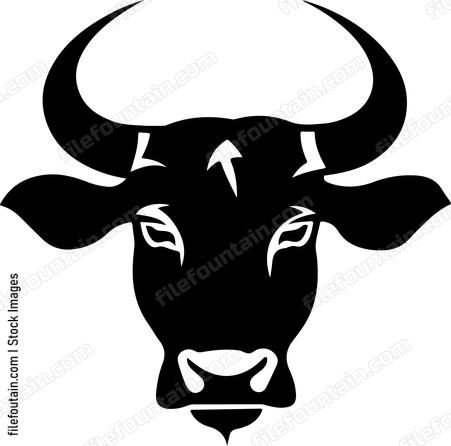 Bull Muzzle