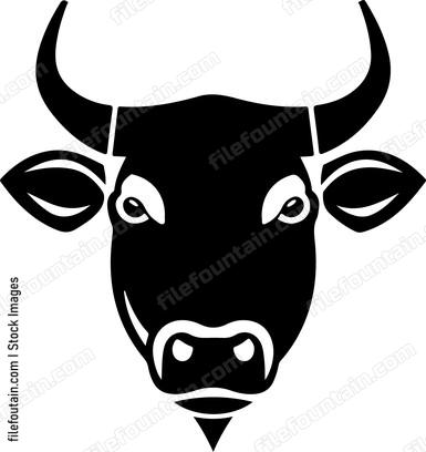 Bull Muzzle