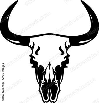 Bull Skeleton