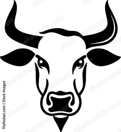Bull Snout