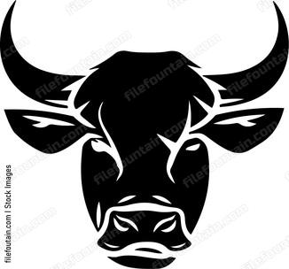 Bull Snout