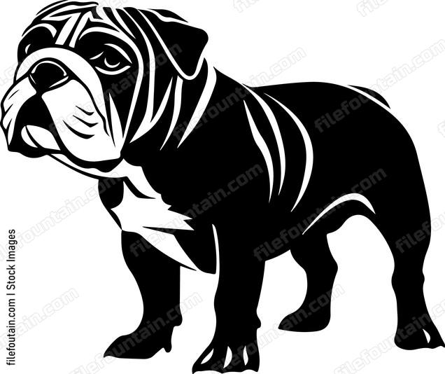 Bulldog