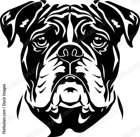 Bulldog