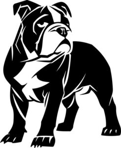 Bulldog