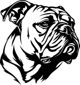 Bulldog