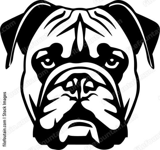 Bulldog Face