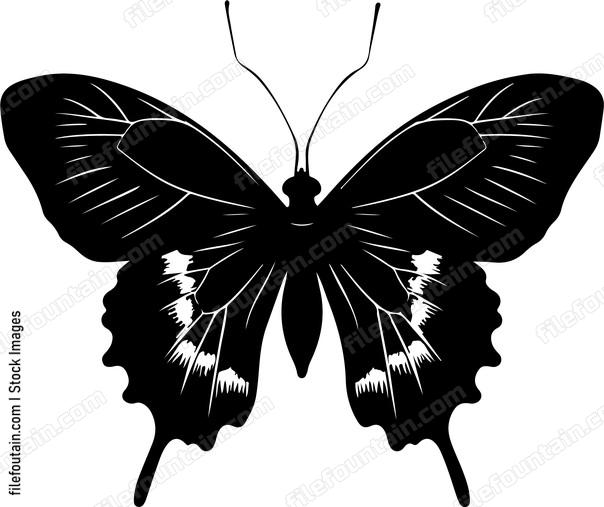Butterfly Silhouette