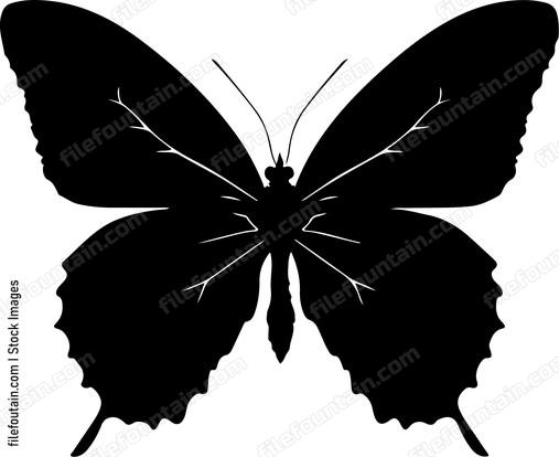 Butterfly Silhouette