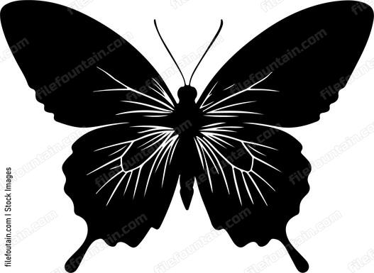 Butterfly Silhouette