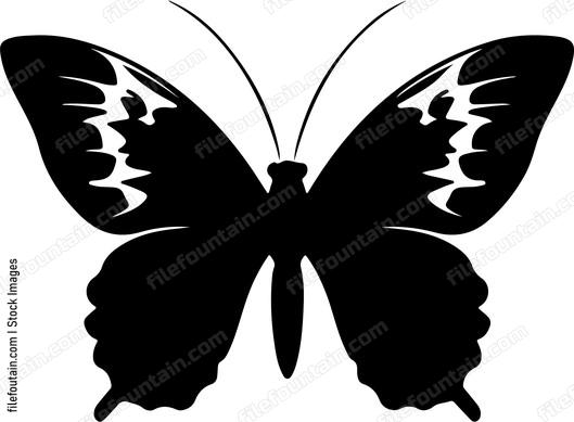 Butterfly Silhouette