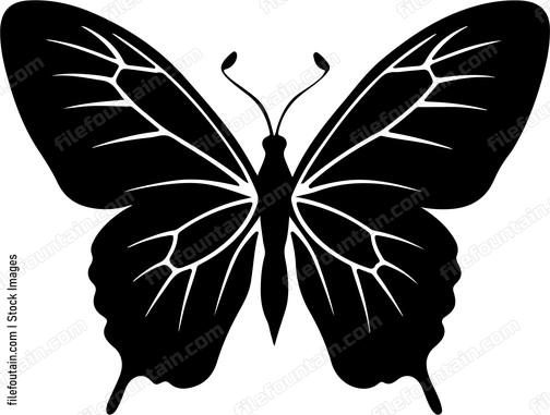 Butterfly Sitting
