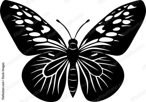 Butterfly Sitting