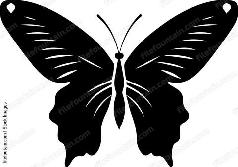 Butterfly Sitting