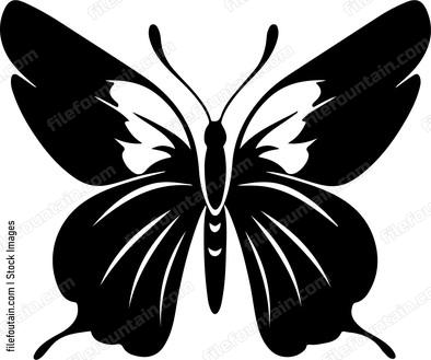 Butterfly Vector