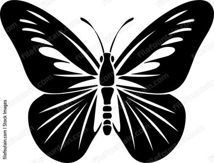 Butterfly Wings