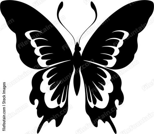 Butterfly Wings