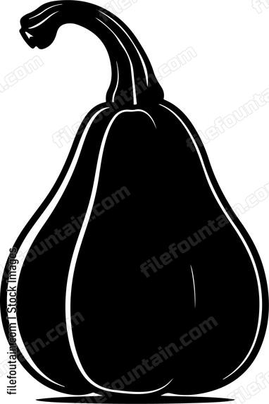Butternut Squash