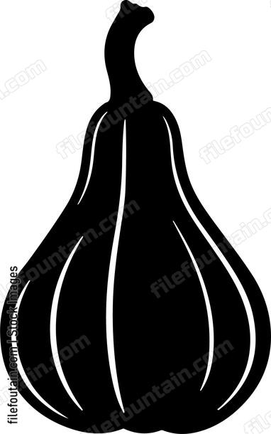 Butternut Squash