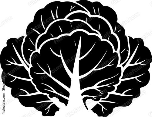 Cabbage Inside