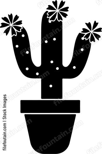 Cactus Flower