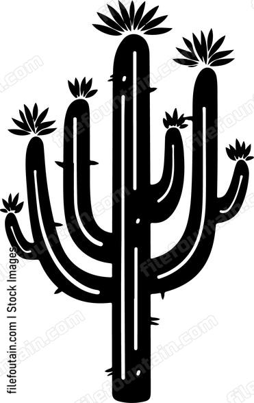 Cactus Flower