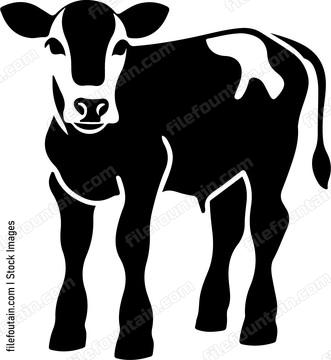 Calf