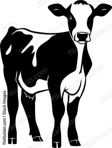 Calf