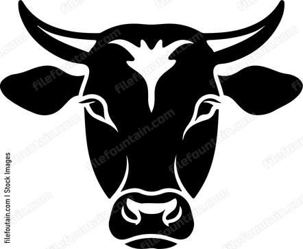 Calf