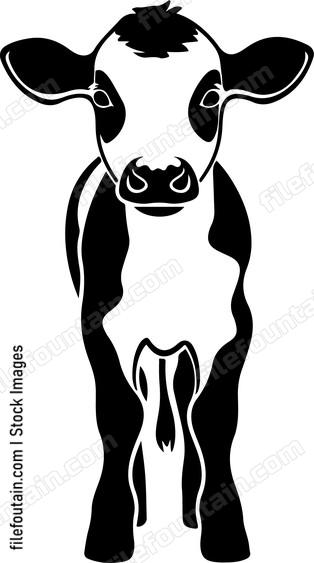 Calf