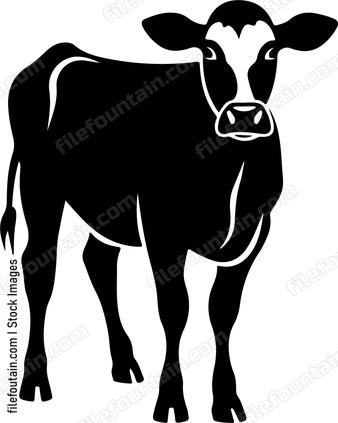 Calf