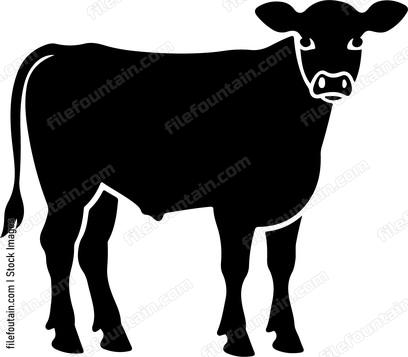 Calf