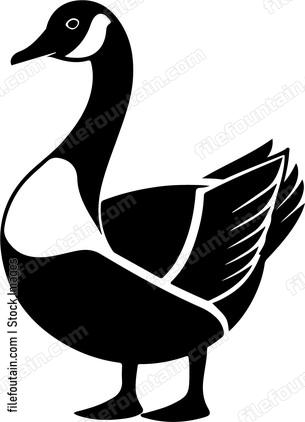Canadian Goose